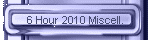 6 Hour 2010 Miscell.