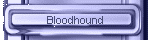 Bloodhound