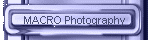 MACRO Photography