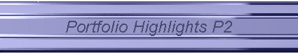 Portfolio Highlights P2